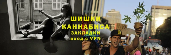 соль ск Липки