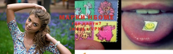 соль ск Липки