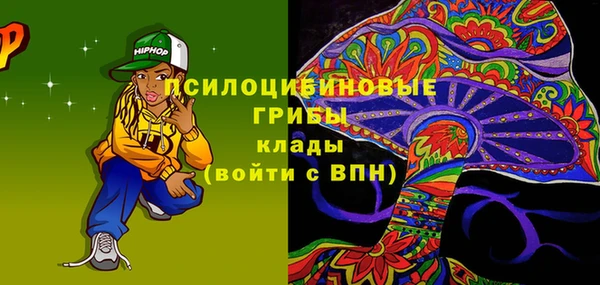 соль ск Липки