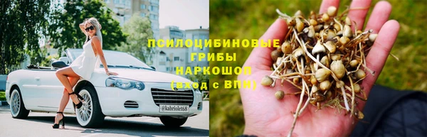 соль ск Липки