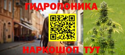 прущие грибы Свободный