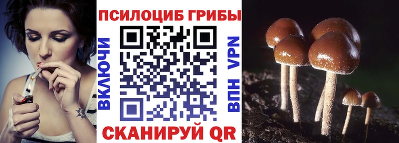 закладки Надым Псилоцибиновые грибы Magic Shrooms